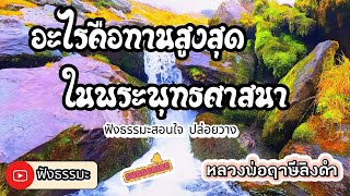 ฟังธรรมะ ,อะไรคือทานสูงสุดในพระพุทธศาสนา,listen dhamma channel,หลวงพ่อฤาษีลิงดำ