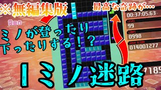 【Tetris 99/テトリス 99】Iミノ迷路　※無編集版