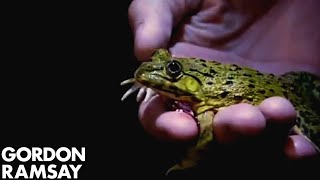 Gordon Ramsay Eats Stuffed Frog in Cambodia