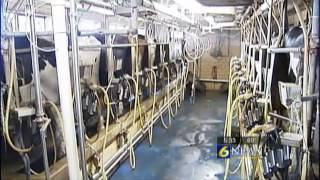 Farming has deep roots throughout Somerset County
