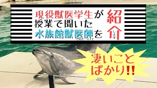 【前編】水族館獣医師になりたい人必見‼️