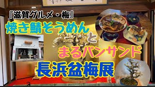 【滋賀グルメ＆お出掛け】長浜/焼き鯖そうめん/つるやパン(まるい食パン専門店)／昼サンド/長浜盆梅展/#滋賀県#お出掛け #滋賀グルメ #ランチ#観光 #苺