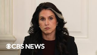 More details emerge on whistleblower complaint against Tulsi Gabbard