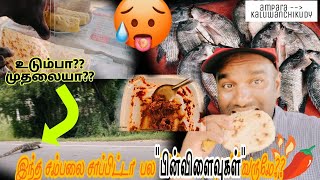 Return From Ampara to ஊர் |Saw A Water Monitor 🐊| Fish Buying |வீதியில் கொட்டிகிடந்த எலுமிச்சைகள்🍋