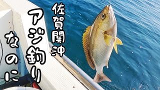 ［漁師］佐賀関沖.アジ釣りなのにイサキが…