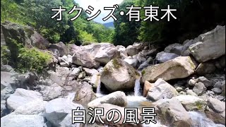 有東木～青笹山うつろぎ山直下、白沢の風景　安倍川支流