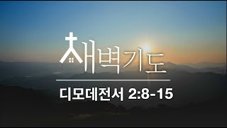 [포항큰숲교회] 24.11. 4 새벽기도회