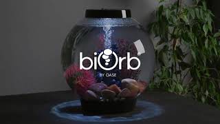 biOrb CLASSIC 15 Aquarium – 4 Gallons – Black Stone River Set — Only Available At Walmart USA