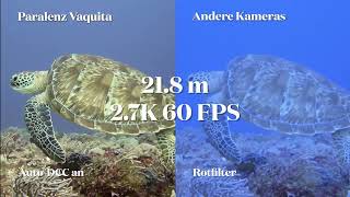 Paralenz Vaquita vs. other action sport cameras - Comparison Dive