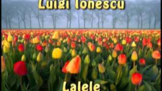 Luigi Ionescu - Lalele