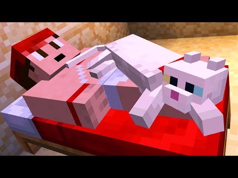 Everything About Cats in Minecraft Everything About Cats in Minecraft