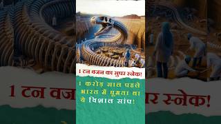 भारत का ये विशालकाय सांप! | World's Largest Snake Lived in Gujarat | Vasuki Indicus#shorts