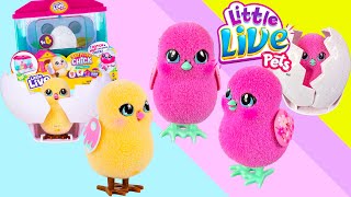 New from Little Live Pets, it’s Surprise Chick Hatching House Playset Toy Unboxing |. SUPER CUTE !!!