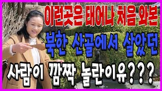 태어나 살면서 이런곳은 처음와본 북한 산골에서 살던 사람이 너무 도 신기했던 이곳은???