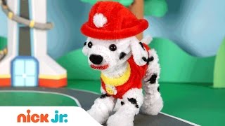 Pipe Cleaner Crafts w/ PAW Patrol's Marshall, Blaze and Shimmer & Shine | Stay Home #WithMe Nick Jr.