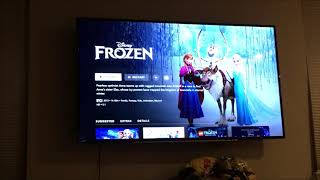 Fire Stick: Something went wrong. Please Try Again.  Disney+ Error.  Reset the Fire Stick fixed it
