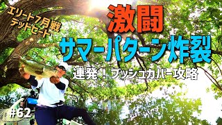 琵琶湖内湖サマーパターンでデッドヒート！伊庭内湖エリート7月戦2021.7.11