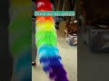 get rid of the winter blues with a rainbow tail 🌈 rainbow pride cosplay furry furryfriends