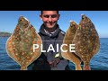 how to fillet and clean fish cod bass plaice mackerel gurnard haddock and john dory