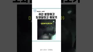 신박한 일본예능