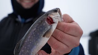 Capsule 101 - Salmonidés hivernaux : Bien choisir son secteur de pêche