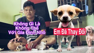 Có lẽ Lucky Em Đã Bắt Đầu Nhận Trọng Làm Chủ Nhân Chính Thức Rồi | Gia Đình Trọng Nhỏ Cà Mau