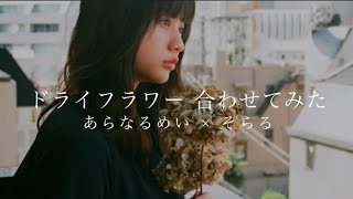 【合わせてみた】ドライフラワー【あらなるめい×そらる】