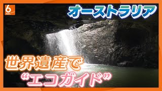 【貴重な体験】海のリゾート・ゴールドコースト　世界遺産で“エコガイド”　オーストラリア【アスミライプロジェクト】