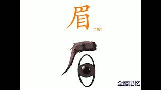 幼儿识字-眉 Learning Chinese Character-eyebrow