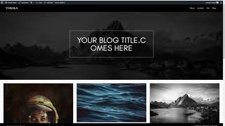 Torola - Theme Options