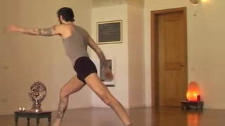 Utthita and Parivrtta Paarshva Konaasana - Yoganataraja Ashtanga Bari