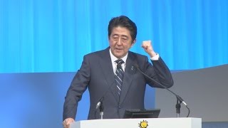 首相、参院選勝利へ決意 民共の協力は「無責任」