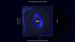 Audiomatiques, Flavio Folco, Lerio Corrado - Sandpaper (Original Mix) // CODEX041