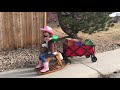 old town road girl scout cookie parody hd 720p