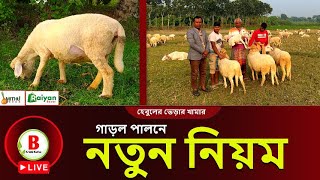 Live! গাড়ল পালনের গোপন কথা যা আগে কেউ বলেনি - খামার হেবুল ইসলাম। New method for sheep farming