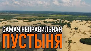 Пустыня Сахара в Воронежской области. Самая неправильная пустыня