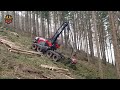 dangerous fastest long reach excavator cutting tree biggest chainsaw felling tree skill working