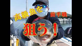 【海釣り情報】高級魚トラフグを狙う！後半戦