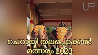 ചെറായി തലപ്പൊക്കം 2023 | Elephant | Ulsavam | Puthupalli Keshavan vs Chirakkal kalidasan