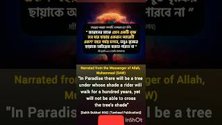 জান্নাতে এমন একটি গাছ আছে | There is such a tree in Paradise #hadees #hadith #waz #shorts #dua