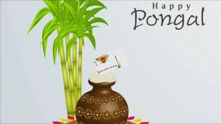 PONGAL GREETINGS