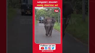 Elephant Chases People on Safari |ಸಫಾರಿ ವಾಹನಗಳ‌ ಮೇಲೆ ದಾಳಿಗೆ ಮುಂದಾದ ಆನೆ| Nagarhole #viral #elephants