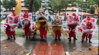 星洲龍獅體育會 Singapore Dragon \u0026 Lion Athletic Association Cai Qing