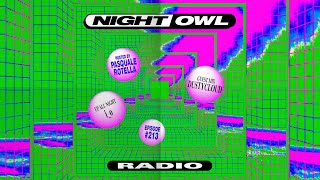 Night Owl Radio 213 ft. i_o and Dustycloud