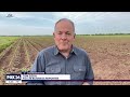 texas farmers replanting fields for first time since 2022 drought destroyed crops