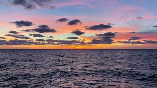 The Gulf Stream Explained | Ocean Currents, Climate, and Marine Life
