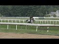 signator breezes over the saratoga turf july 28