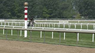 Signator breezes over the Saratoga turf July 28