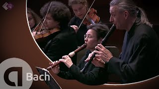 Bach: Brandenburg Concerto No.4, BWV 1049 - Concerto Köln, Cordula Breuer and Wolfgang Dey - Live HD