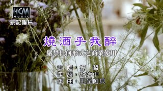 楊哲-燒酒乎我醉【KTV導唱字幕】1080p HD